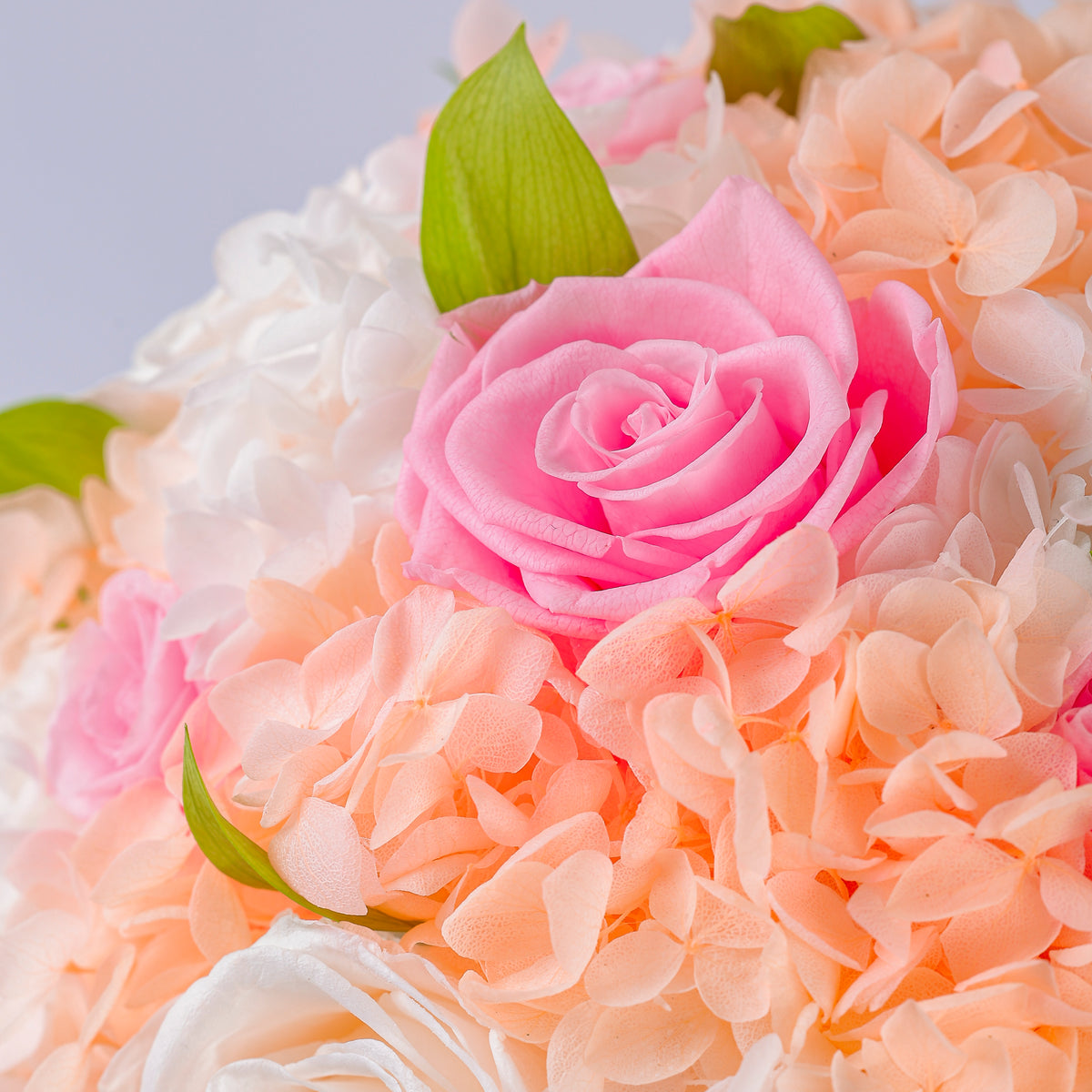 Mixed Rose and Hydrangea Bouquet Starry Roses
