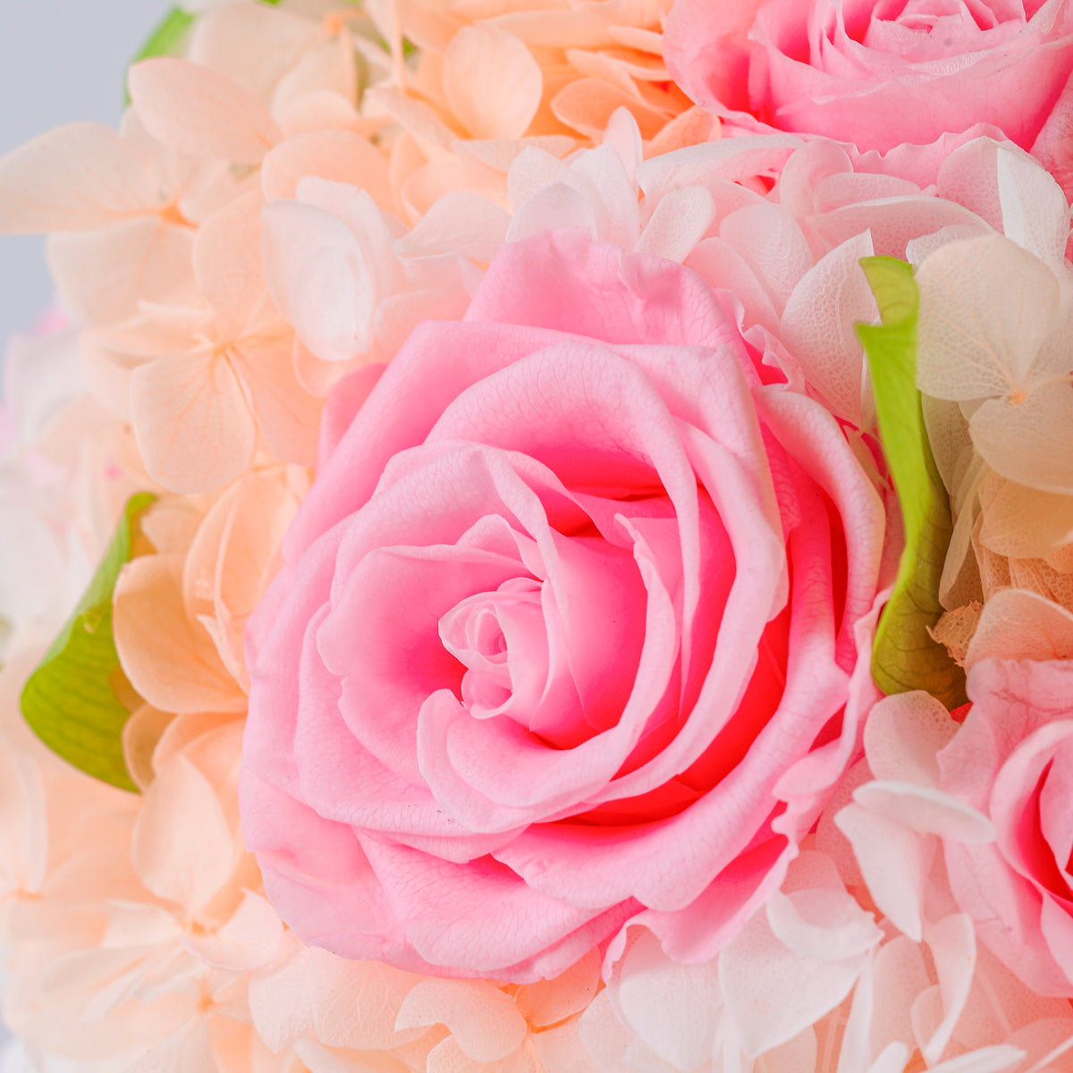 Mixed Rose and Hydrangea Bouquet Starry Roses