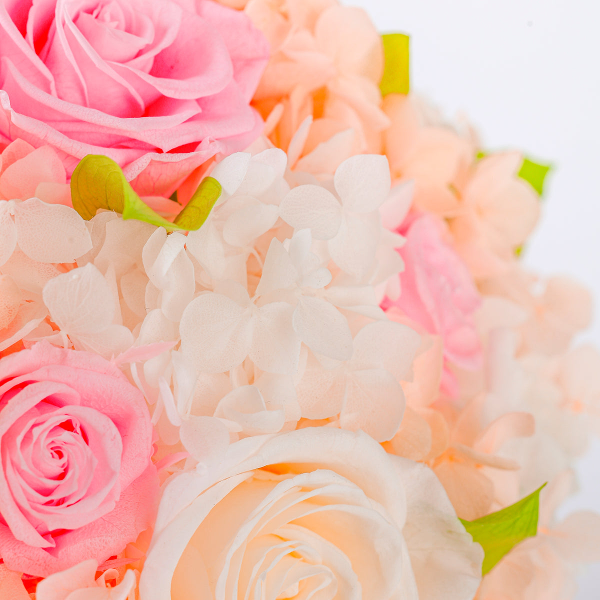 Mixed Rose and Hydrangea Bouquet Starry Roses