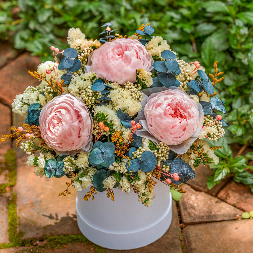 Blush Pink Preserved Flower Arrangement – Elegant Long-Lasting Floral Gift Starry Roses
