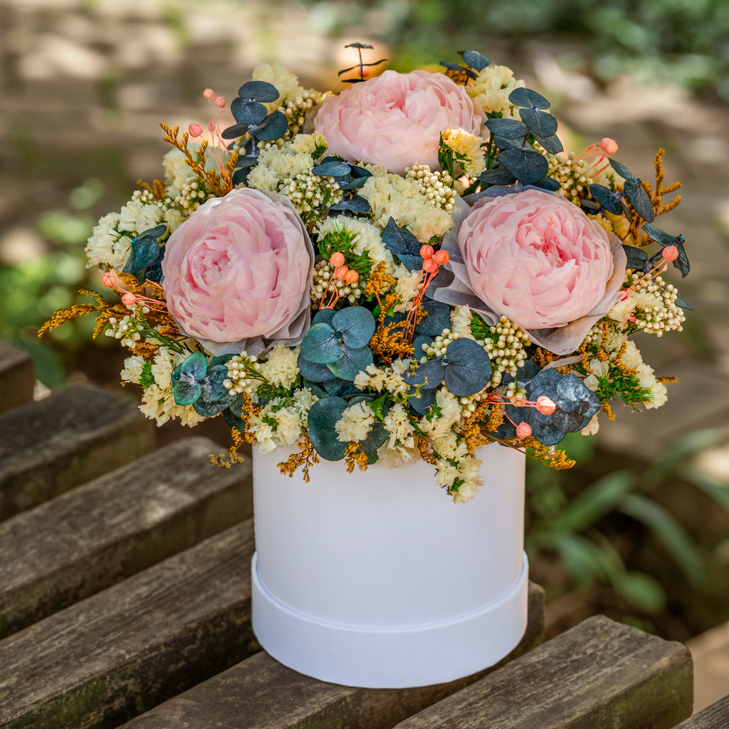 Blush Pink Preserved Flower Arrangement – Elegant Long-Lasting Floral Gift Starry Roses
