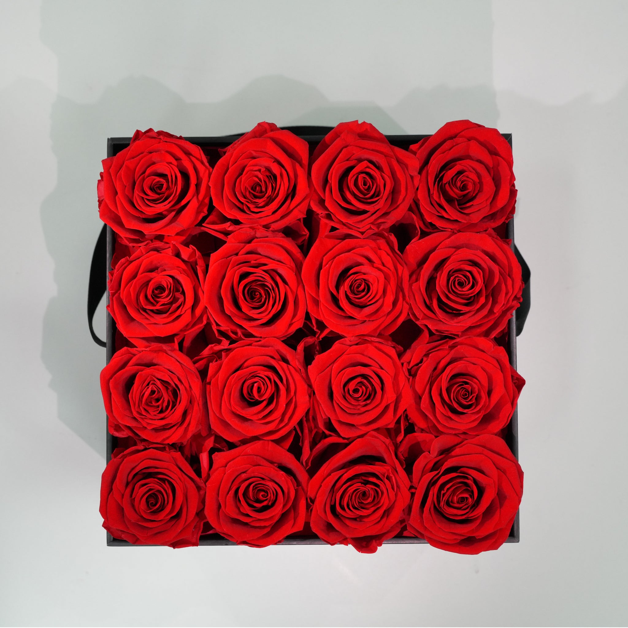 Large Square Black Box Preserved Roses