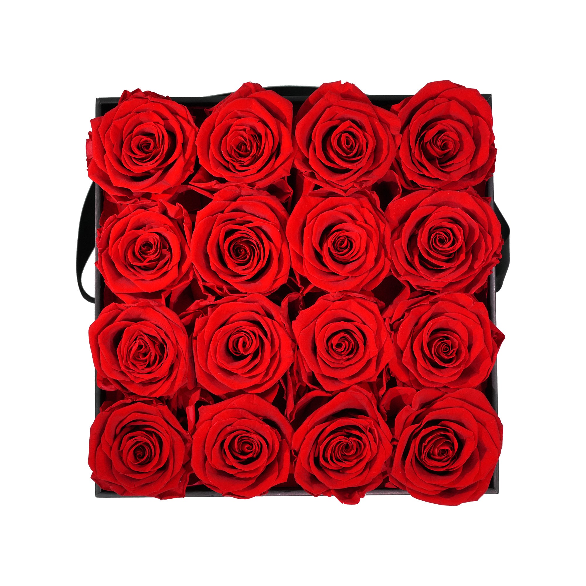 Large Square Black Box Red Forever Roses flat lay overhead view.