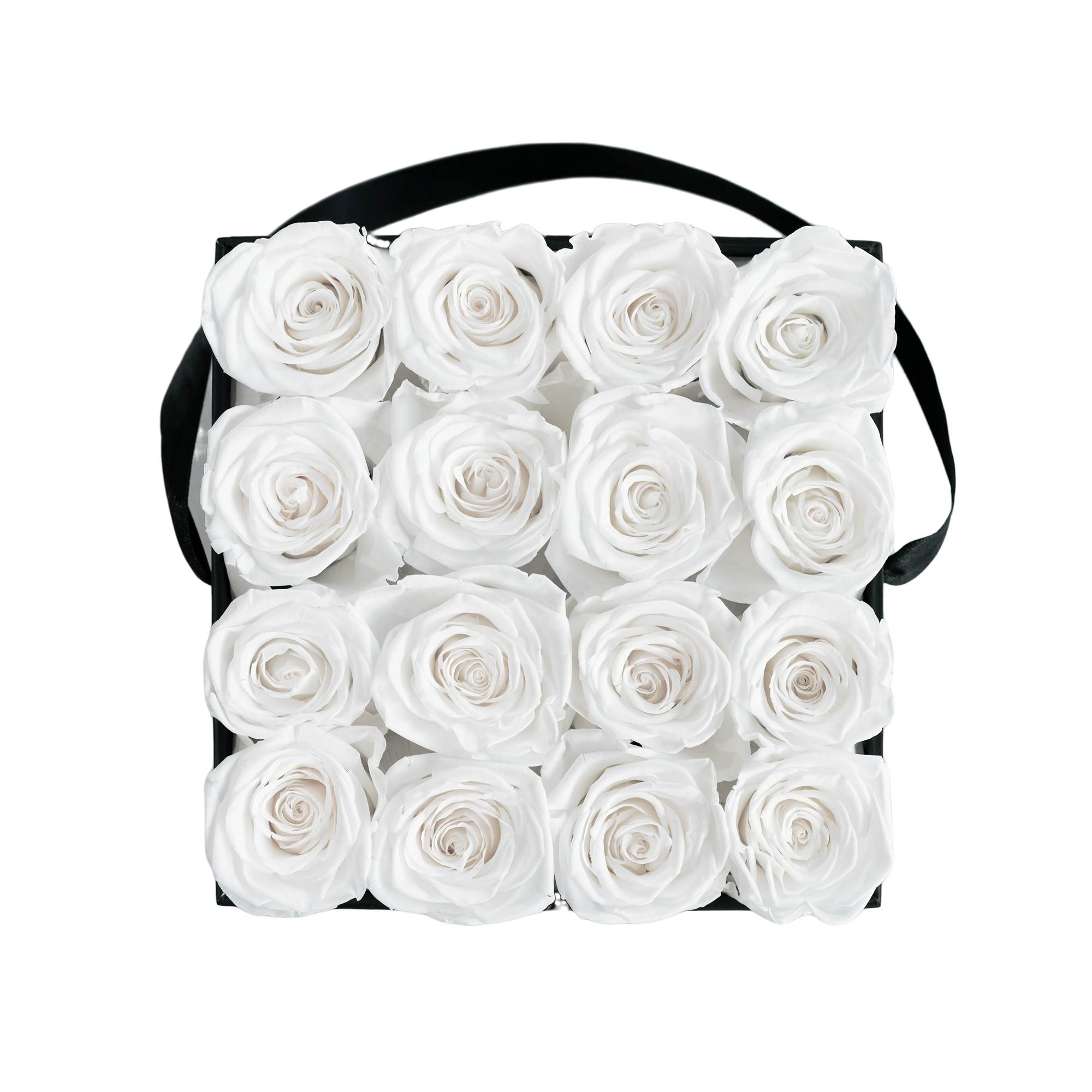 Large Square Black Box White Forever Roses flat lay overhead view.