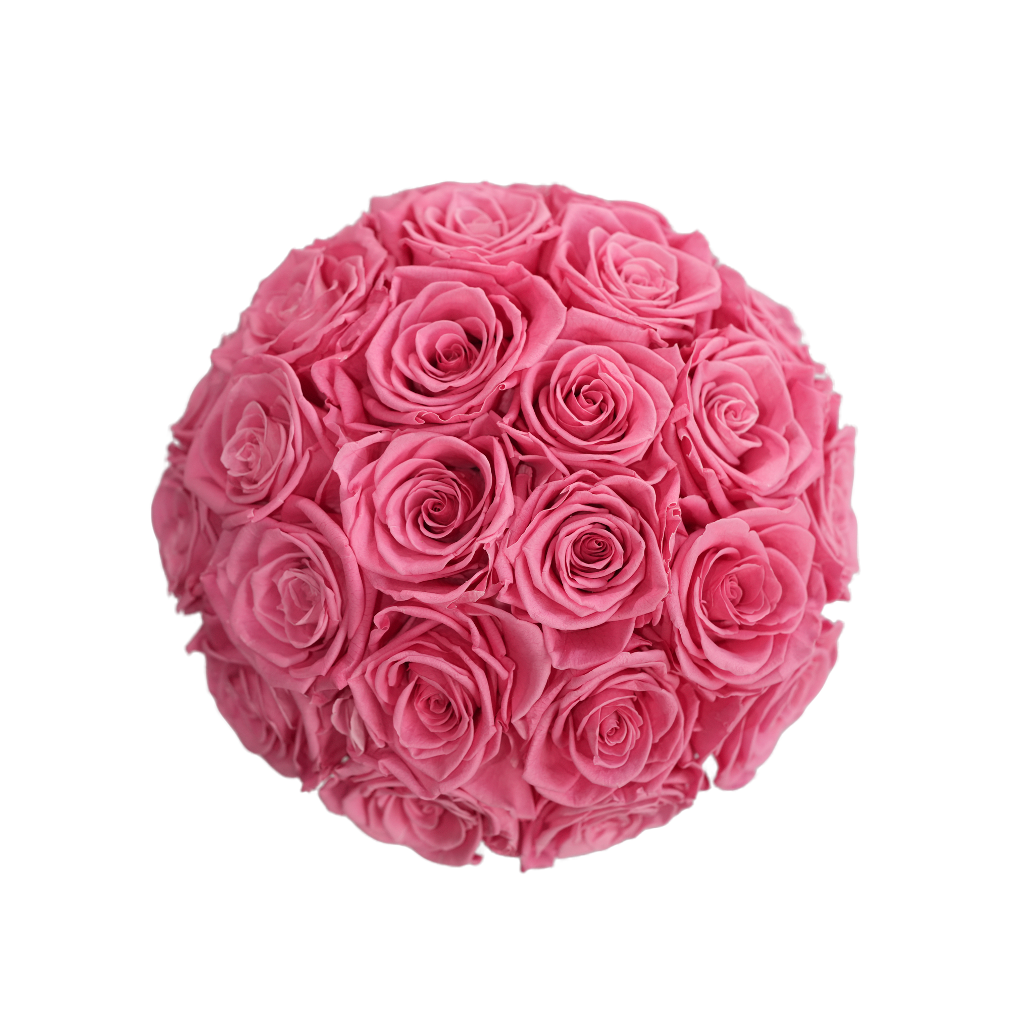 Large Superdome Black Box Forever Pink Roses flat lay overhead view.