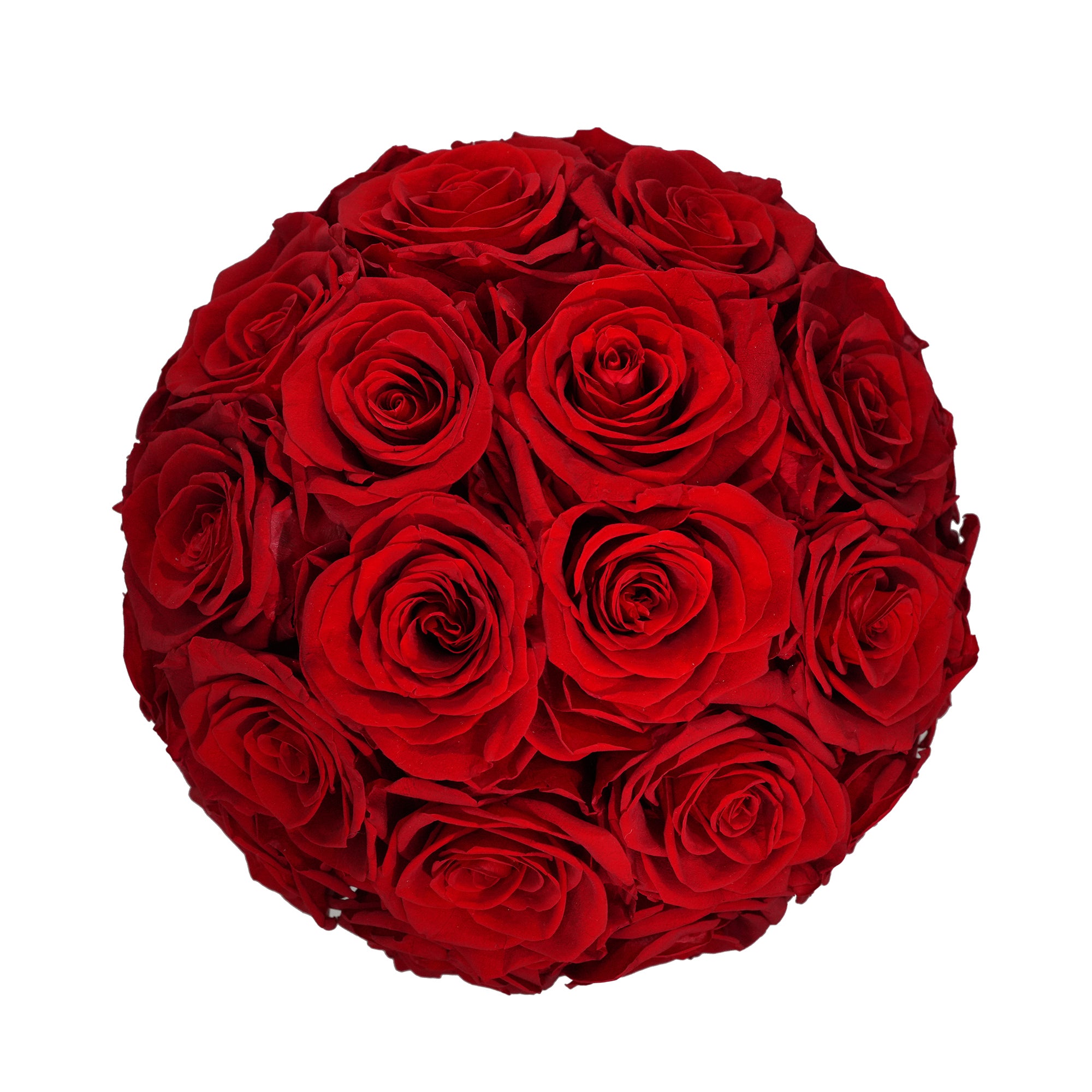 Large Superdome Black Box Forever Red Roses flat lay overhead view.