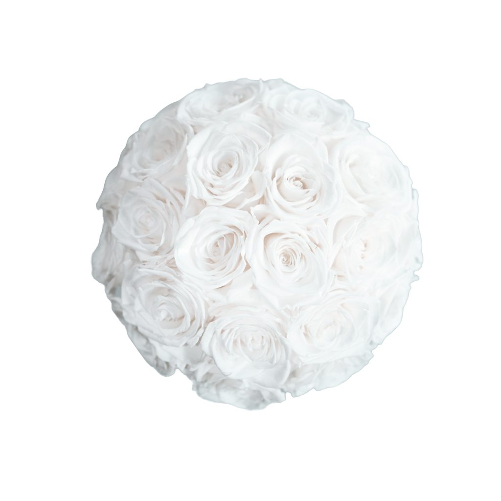 Large Superdome Black Box White Forever  Roses flat lay overhead view.