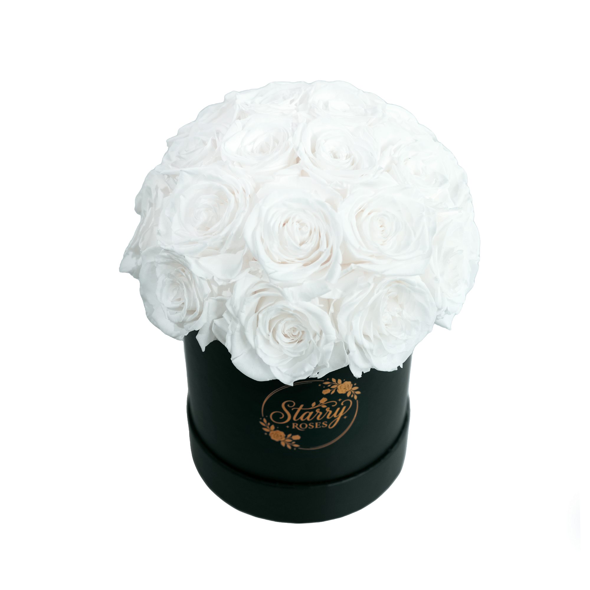Large Superdome Black Box White Forever Roses product display on white background.