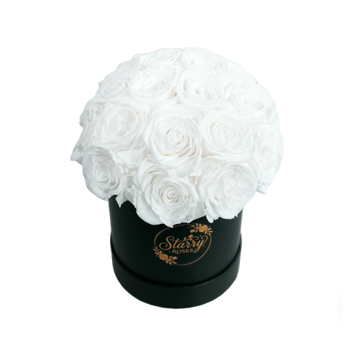 Large Superdome Black Box White Forever Roses product display on white background.