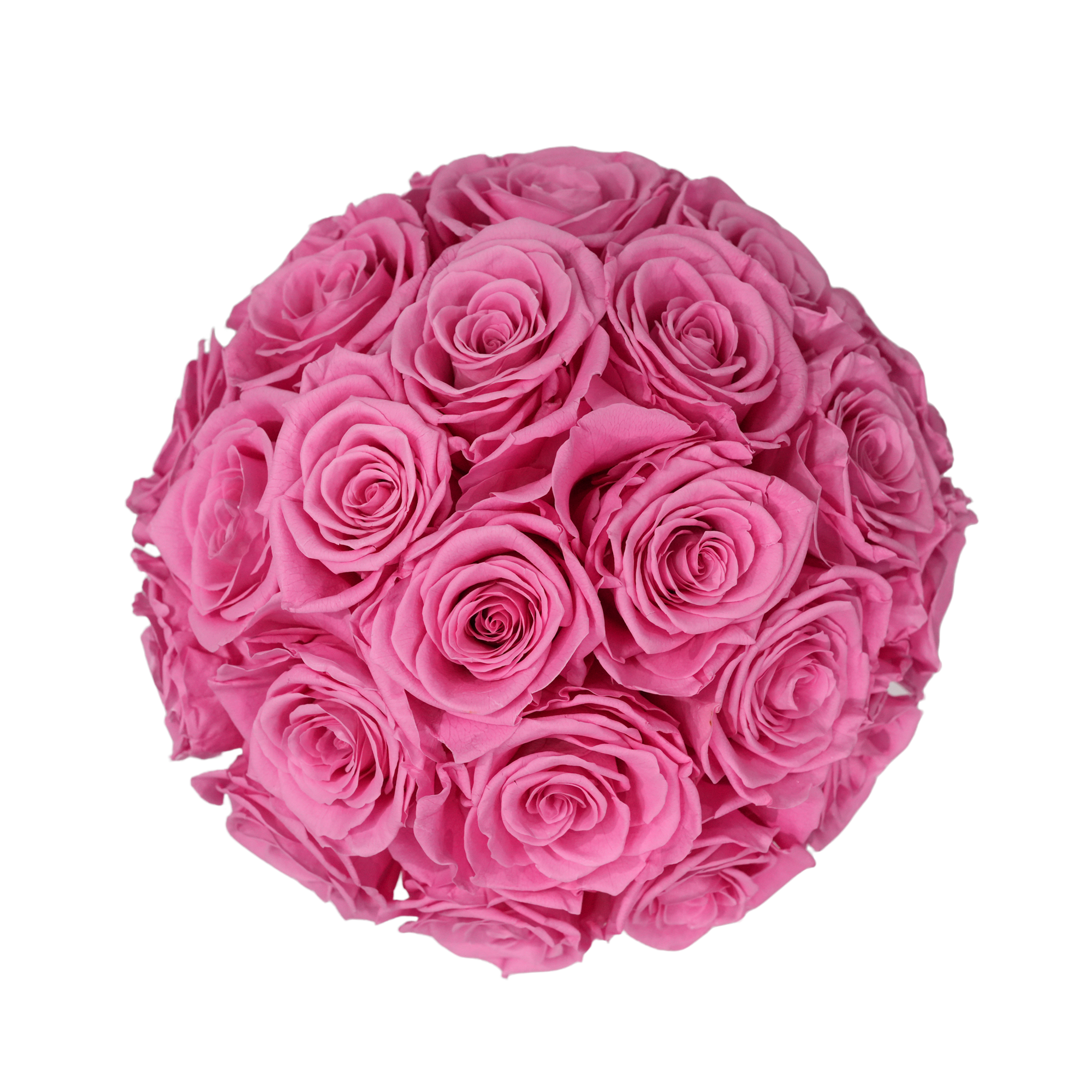 Large Superdome White Box Pink Forever Roses flat lay overhead view.