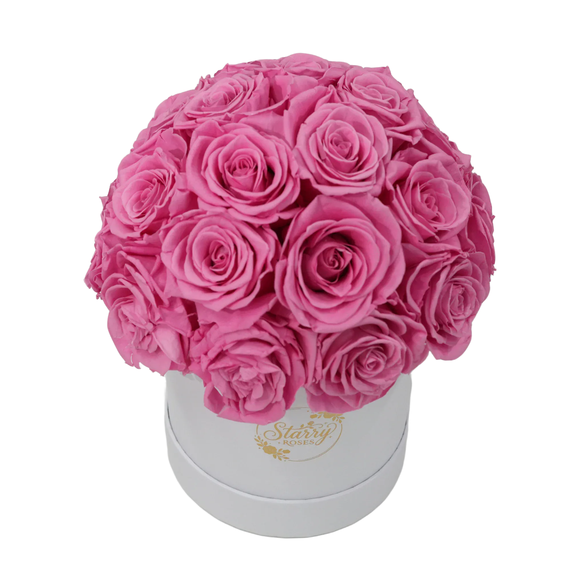 large superdome white box pink forever roses product display on white background.