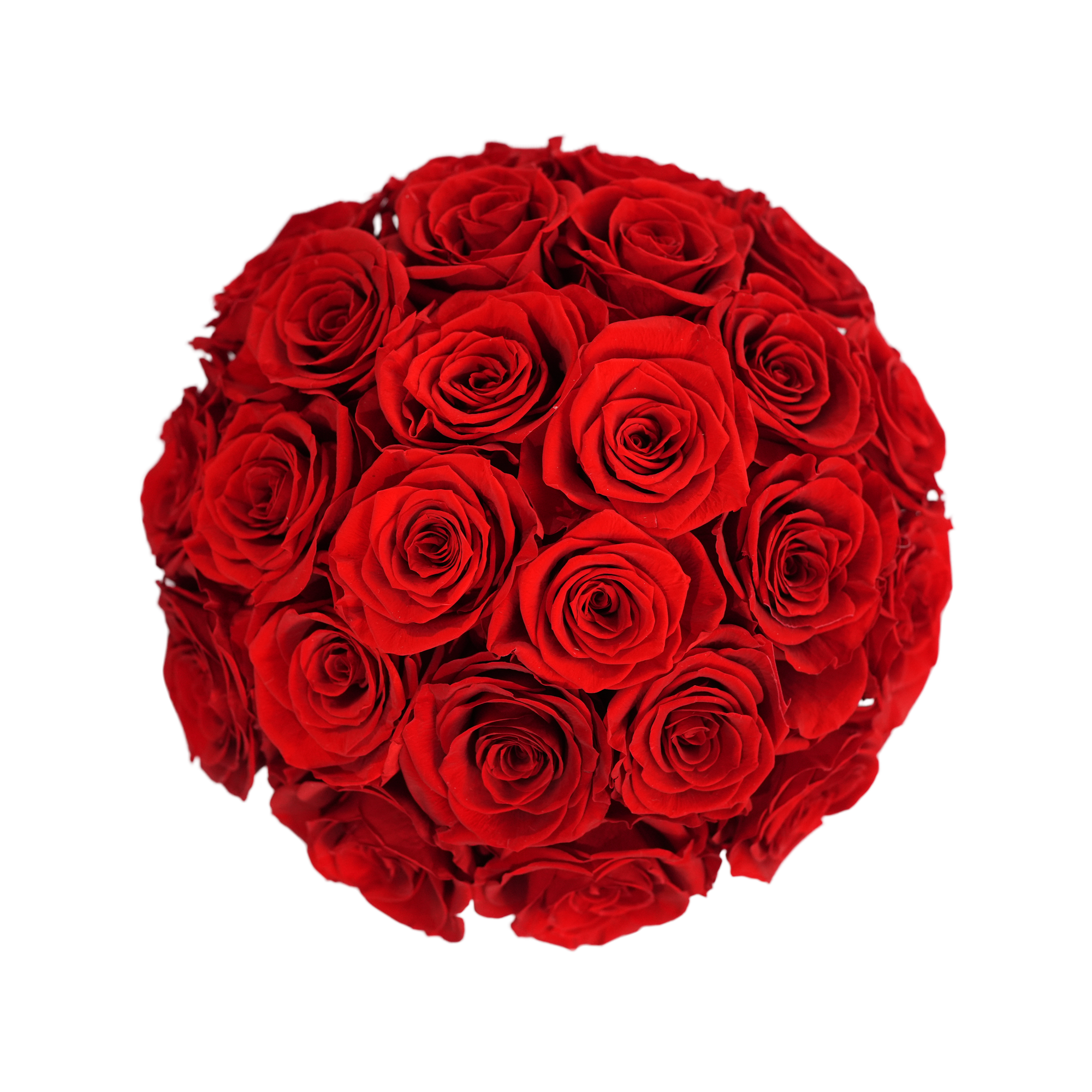 Large Superdome White Box Forever Red Roses flat lay overhead view.