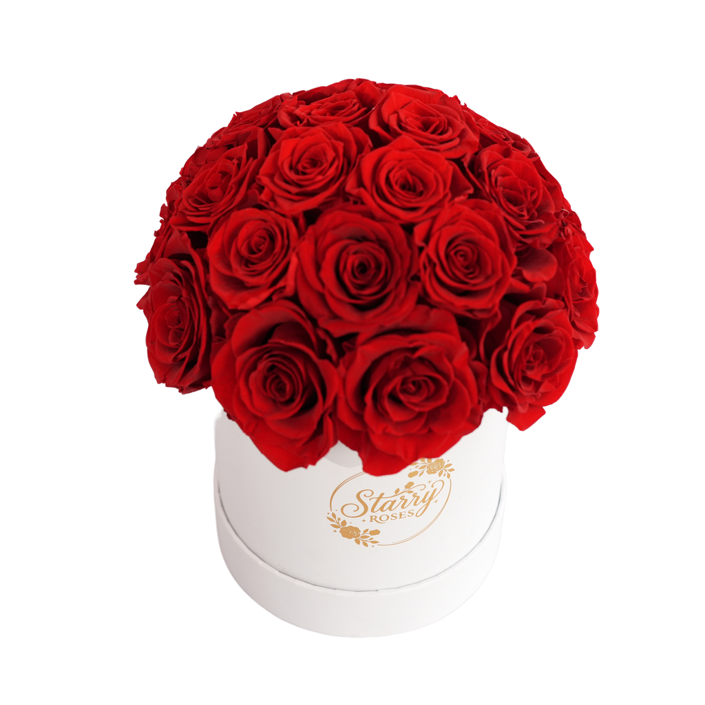 Large Superdome White Box Red Forever Roses product display on white background.
