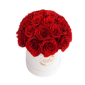 Large Superdome White Box Red Forever Roses product display on white background.