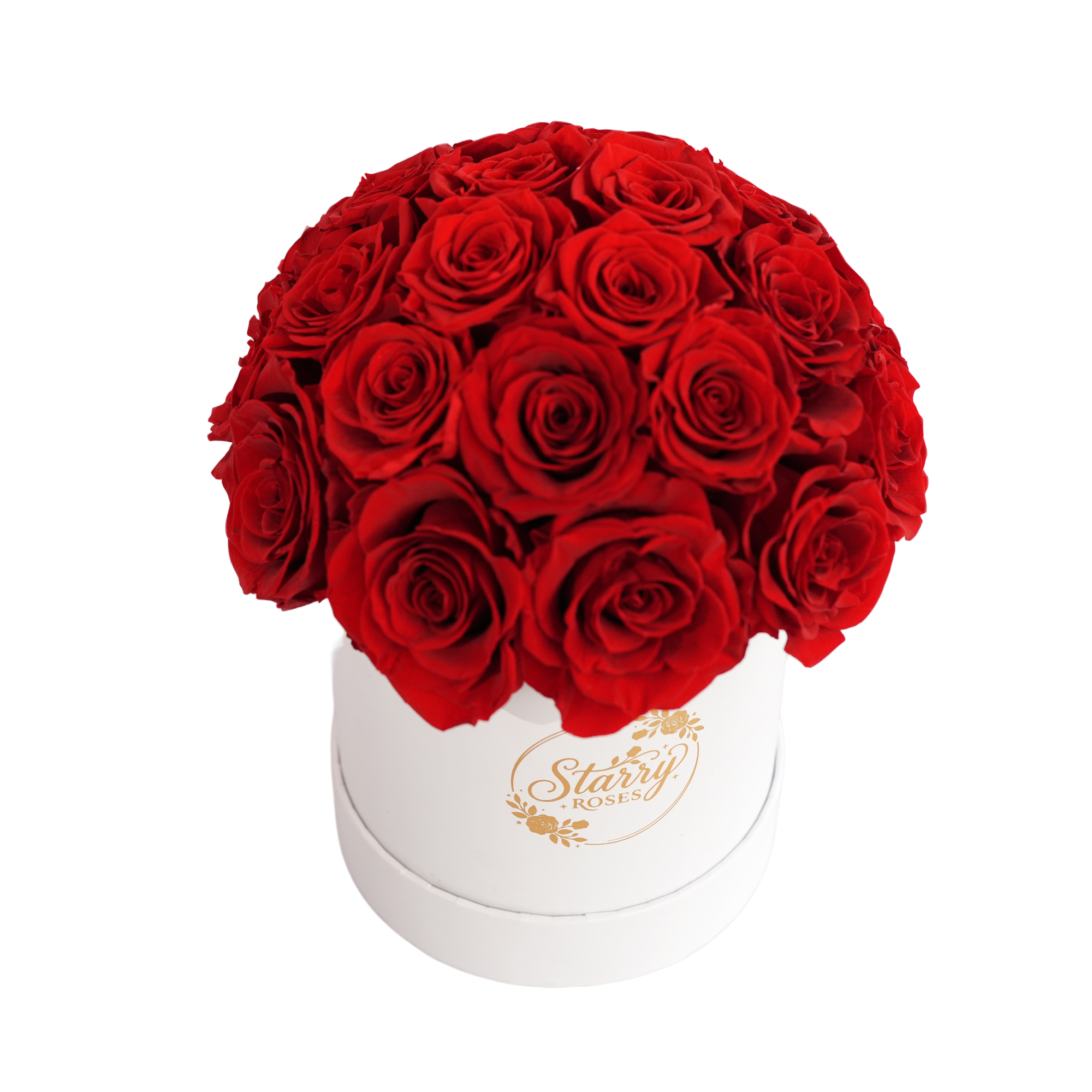 Large Superdome White Box Red Forever Roses product display on white background.