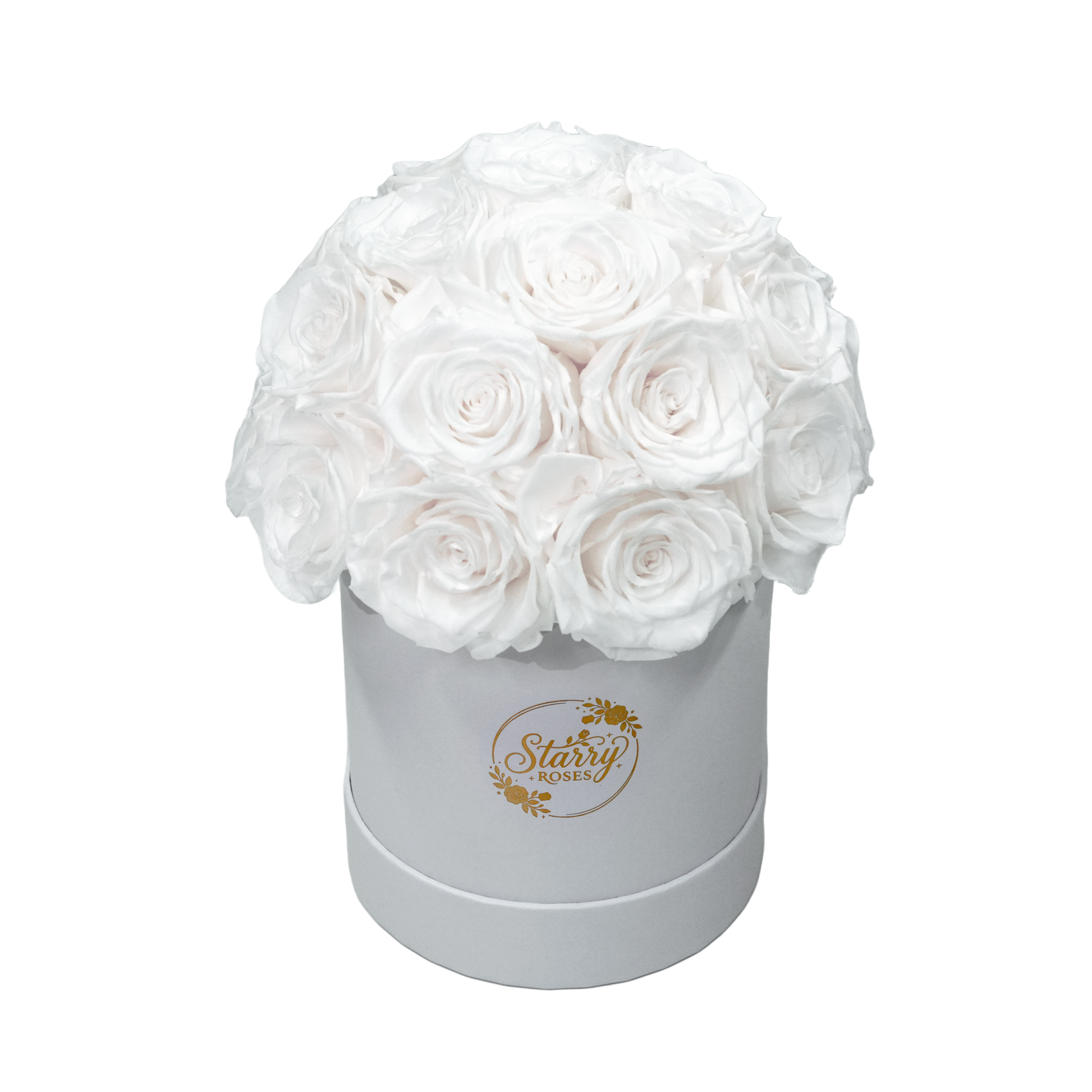 large superdome white box white forever roses product display on white background.