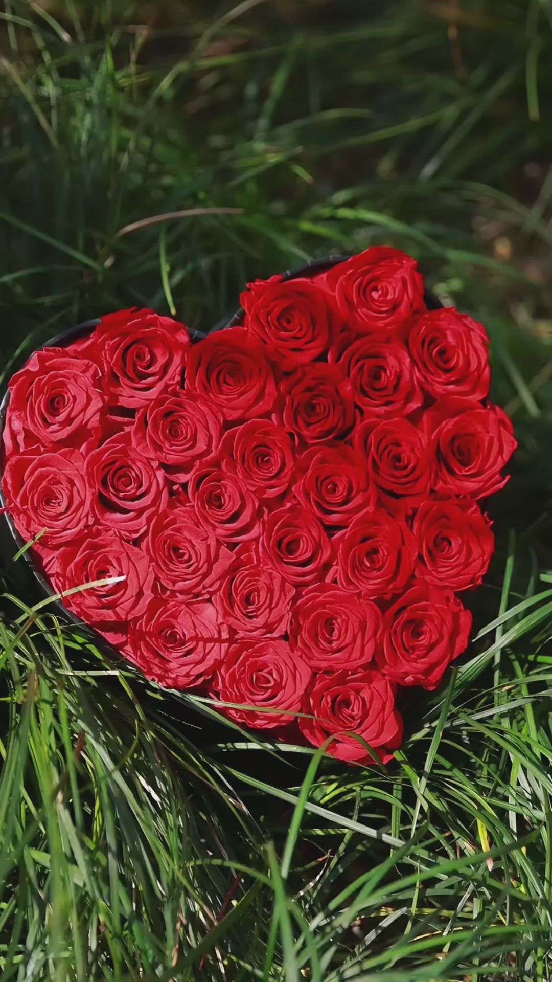 Large Heart Black Box Forever Roses